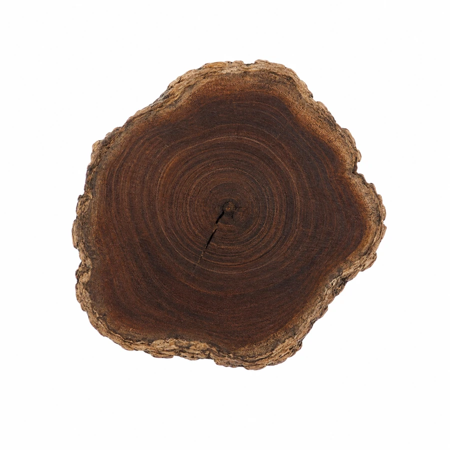 Coupe de bois sombre